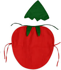 Fruits Costume
